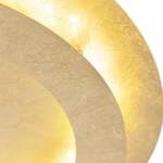Strahler und Spot von PAUL NEUHAUS, in der Farbe Gold, aus Stahl, andere Perspektive, Vorschaubild