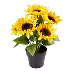 Blumengesteck Sonnenblumen der Marke viva domo
