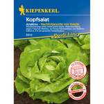 Kiepenkerl Kopfsalat der Marke Kiepenkerl