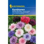 Kiepenkerl Kornblumen der Marke Kiepenkerl