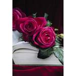 Pflanze von ROSEN TANTAU, in der Farbe Rosa, aus Kunststoff, andere Perspektive, Vorschaubild