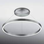 Ringförmige LED-Deckenleuchte der Marke Knapstein