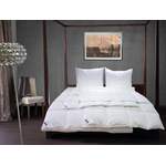 Bettdecke von billerbeck, in der Farbe Weiss, aus Baumwolle, Vorschaubild