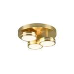 Strahler und Spot von Trio Lighting, in der Farbe Gold, aus Metall, andere Perspektive, Vorschaubild