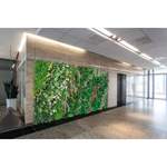 Wand-Kunstpflanze Immergrün der Marke VGnewtrend