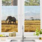 Fensterfolie Elefanten der Marke Bilderwelten