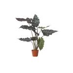 Tisch/Boden-Kunstpflanze Alocasia der Marke Die Saisontruhe
