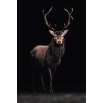 Bilder von Reinders, in der Farbe Braun, aus Holzwerkstoff, andere Perspektive, Vorschaubild