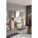 Waschbeckenunterschrank von Premium Living, in der Farbe Grau, aus Holzwerkstoff, andere Perspektive, Vorschaubild