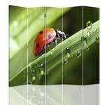 Raumteiler Ladybug der Marke Brayden Studio