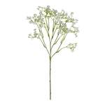 Gypsophilia ca. der Marke DEPOT