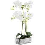 Tisch-Kunstpflanze Orchidee der Marke Canora Grey