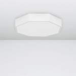 Strahler und Spot von Nova Luce, in der Farbe Weiss, aus Acryl, andere Perspektive, Vorschaubild