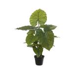 Tisch/Boden-Kunstpflanze Colocasia der Marke Sansibar Home
