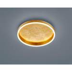 Strahler und Spot von Helestra, in der Farbe Gold, aus Kunststoff, andere Perspektive, Vorschaubild
