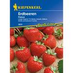 Erdbeeren Fresca der Marke Kiepenkerl