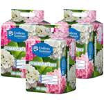 Premium-Hortensiendünger Endless der Marke Floragard