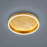 Strahler und Spot von Helestra, in der Farbe Gold, aus Kunststoff, Vorschaubild