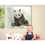 Fensterfolie Panda der Marke Bilderwelten