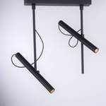 Strahler und Spot von Paul Neuhaus, in der Farbe Schwarz, aus Kunststoff, andere Perspektive, Vorschaubild