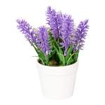 Deko-Töpfchen „Lavendel“ der Marke viva domo