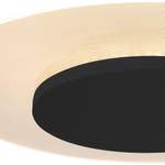 Strahler und Spot von Steinhauer, in der Farbe Schwarz, aus Kunststoff, andere Perspektive, Vorschaubild