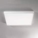 Strahler und Spot von Linea Light Group, in der Farbe Weiss, aus Aluminium, Vorschaubild