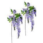 Regenwisteria-Spray (2er-Set) der Marke Die Saisontruhe