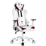 Chefsessel der Marke DIABLO CHAIRS