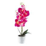 LED-Orchidee der Marke MODERNE HAUSFRAU