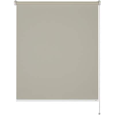 Preisvergleich für Schöner Wohnen Tageslicht-Rollo Tizia 120 cm x 150 cm  Grün, BxHxT 120x150x4 cm, aus Polyester, GTIN: 4003018377849 | Ladendirekt