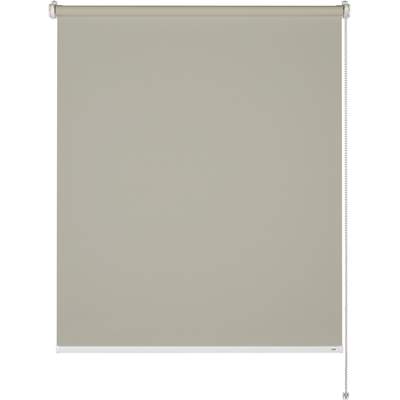 Preisvergleich für Schöner Wohnen Tageslicht-Rollo Tizia 120 cm x 150 cm  Grün, BxHxT 120x150x4 cm, aus Polyester, GTIN: 4003018377849 | Ladendirekt