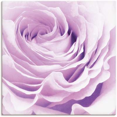 Preisvergleich für Artland Wandbild »Pastell Rose«, Blumen, (1 St.), als  Leinwandbild, Wandaufkleber oder Poster in versch. Größen, BxT 100x100 cm,  in der Farbe Rosa, aus Holz, GTIN: 4055327352413 | Ladendirekt